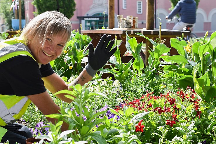Person planterar blommor och hälsar mot kameran.