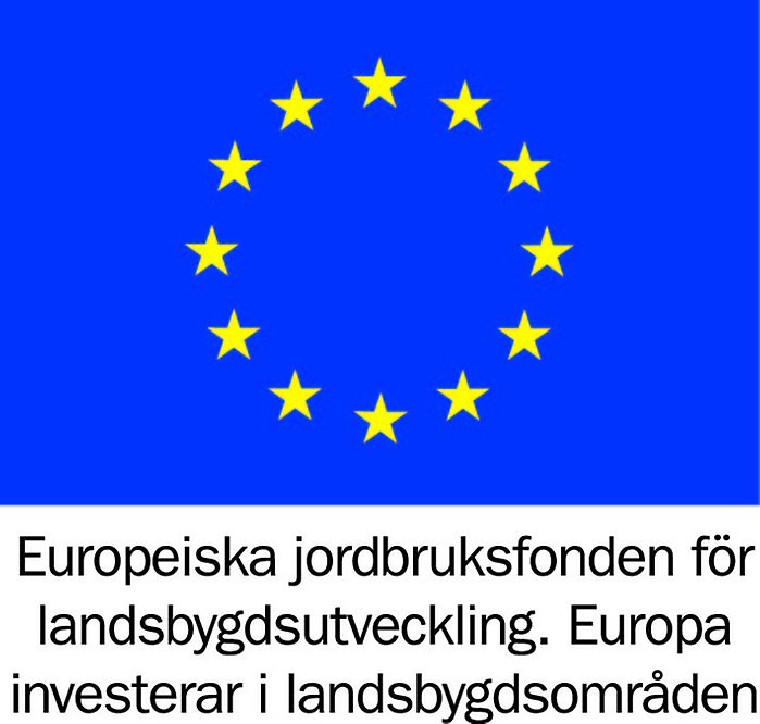 Blå flagga med gula stjärnor. EU:s symbol.